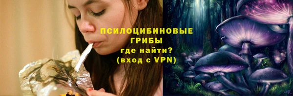 мяу мяу мука Беломорск