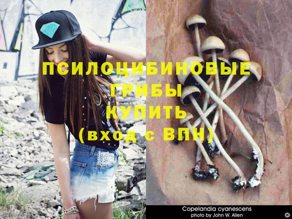 apvp Саяногорск