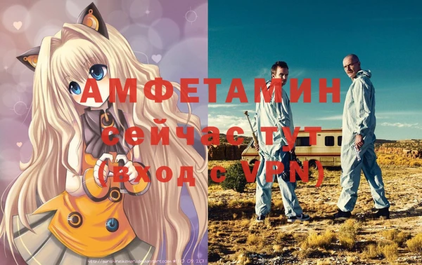 хмурый Сатка