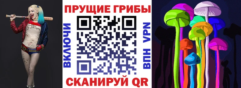 Псилоцибиновые грибы Psilocybe  где купить наркоту  Красноуральск 